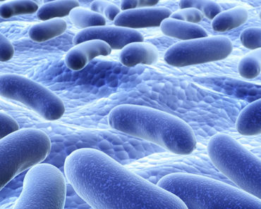 You are currently viewing 10 Incredible Benefits Of Probiotics