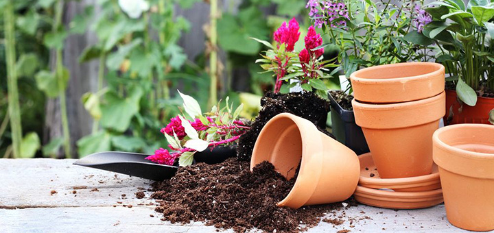 You are currently viewing How to Build a Balcony Garden on a Shoestring Budget