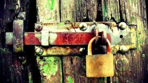 Read more about the article 10 Best Password Management Tools