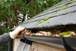 Read more about the article Don’t Slack When it Comes to Cleaning Your Gutters